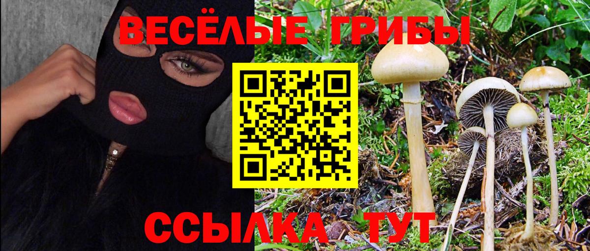 Галлюциногенные грибы MAGIC MUSHROOMS Белореченск