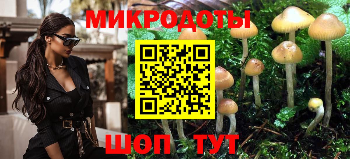 МЕФ Белореченск